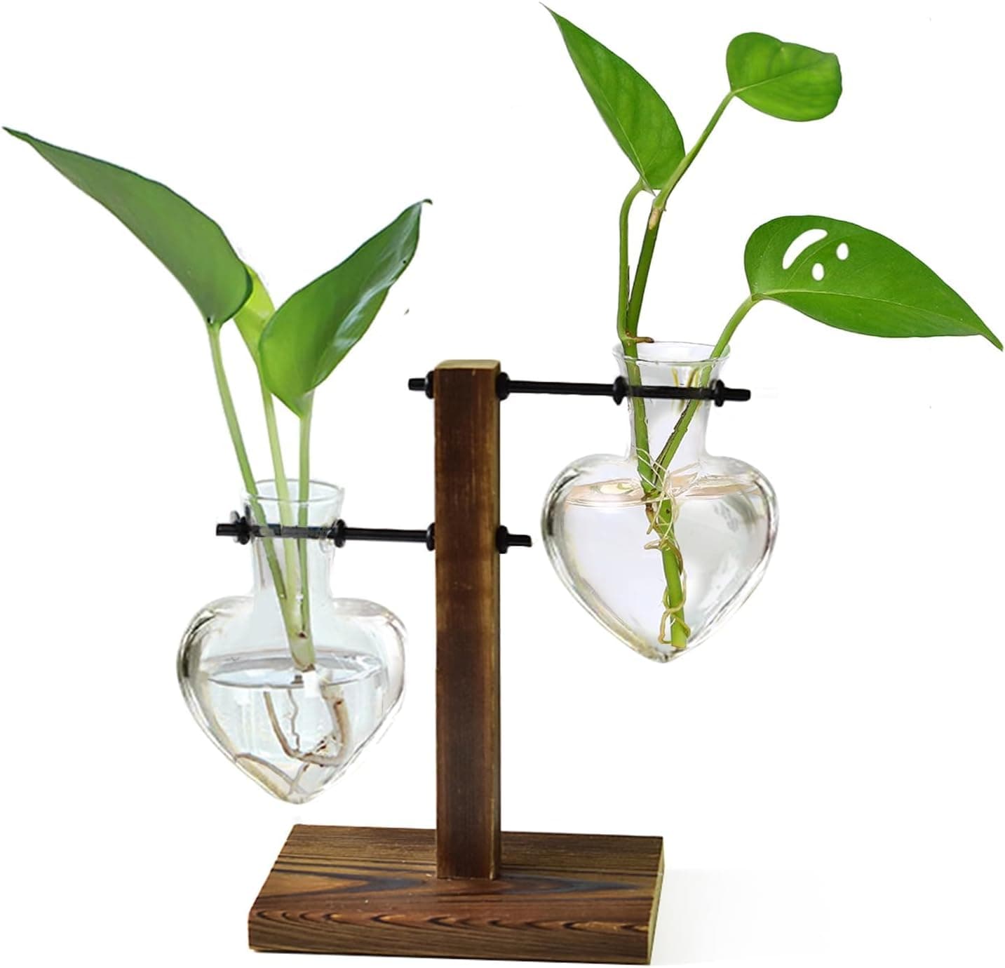 Glass Bulb Terrarium with Wooden Stand – 2 Love Vase Set
