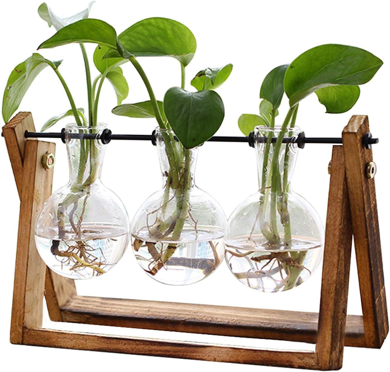 Glass Bulb Terrarium with Wooden Stand – 3 Vase Set