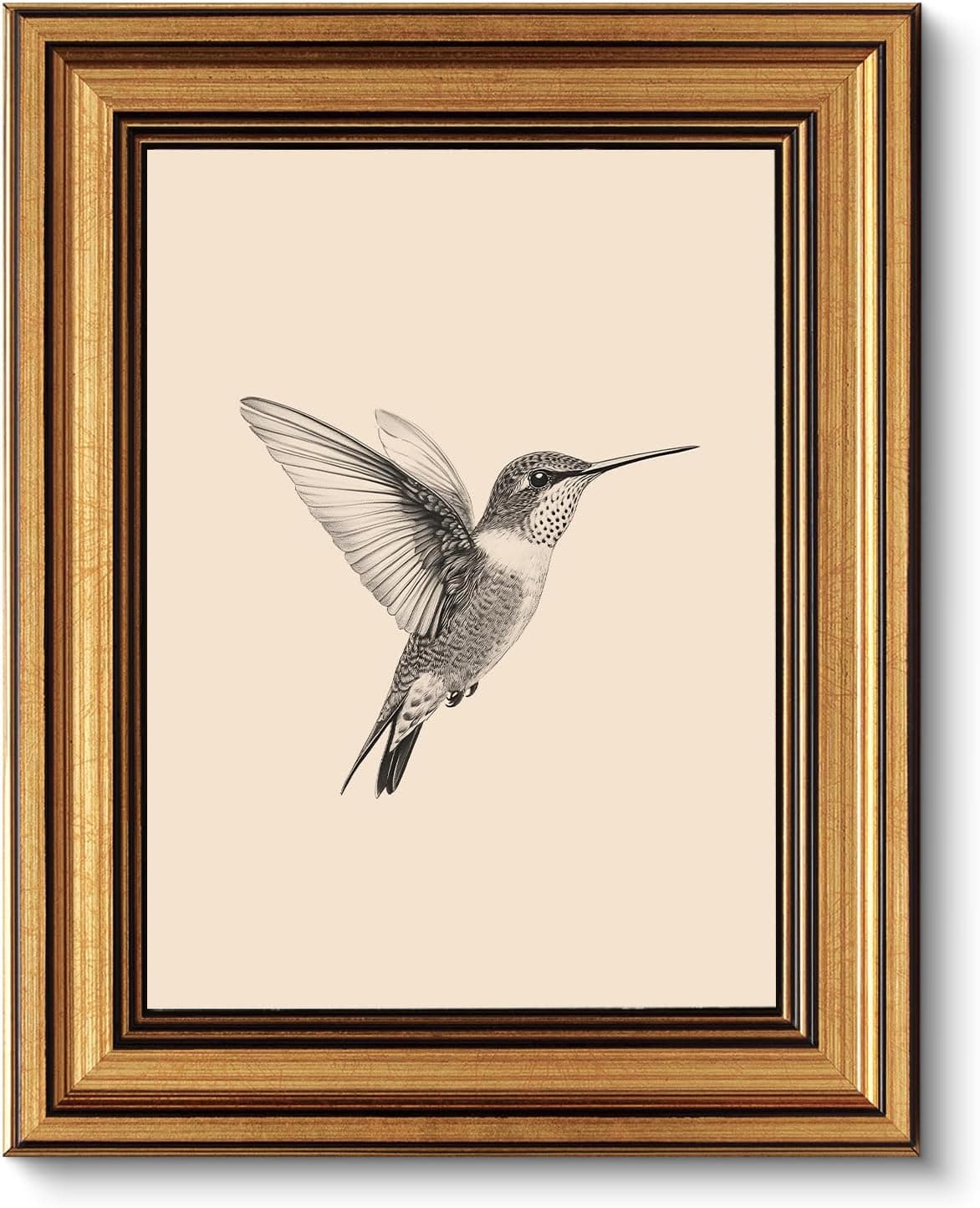 Vintage Gold Framed Hummingbird Wall Art – Canvas Print, 10"x8"